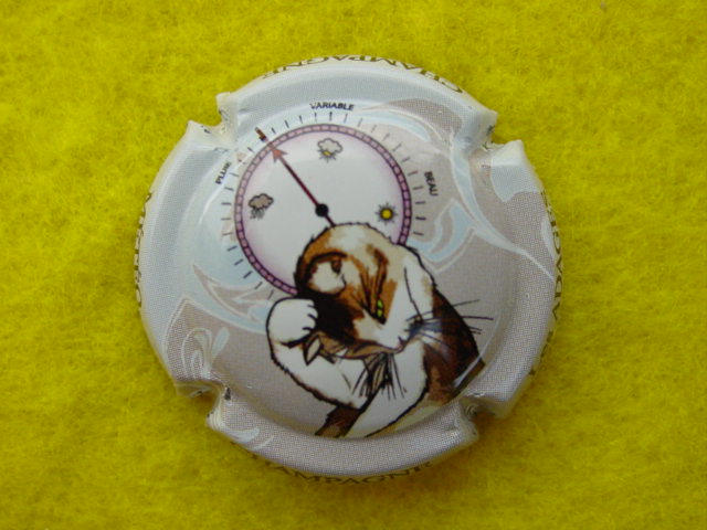Photo de la capsule