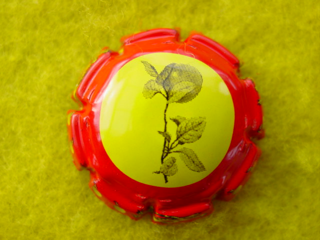 Photo de la capsule
