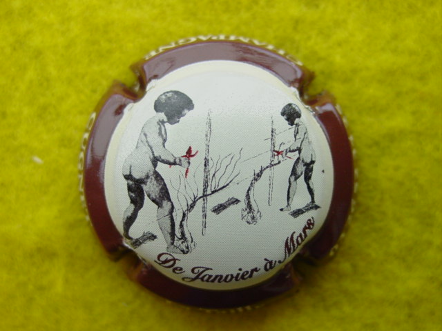Photo de la capsule