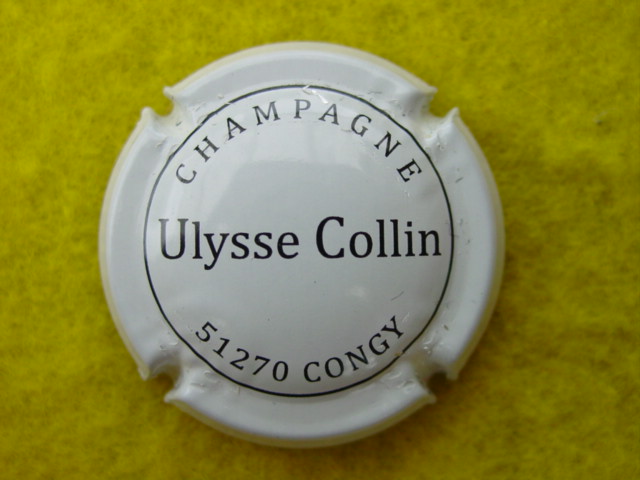 Photo de la capsule