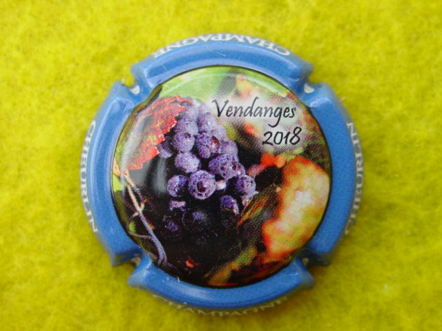 Photo de la capsule