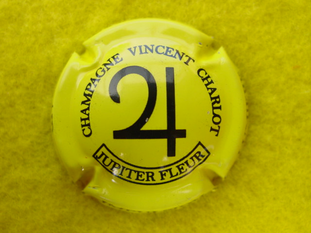 Photo de la capsule
