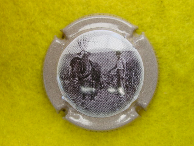 Photo de la capsule