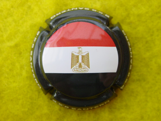 Photo de la capsule