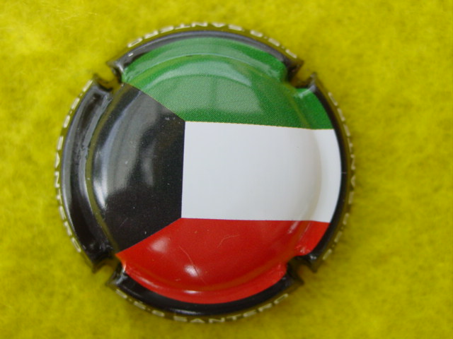 Photo de la capsule