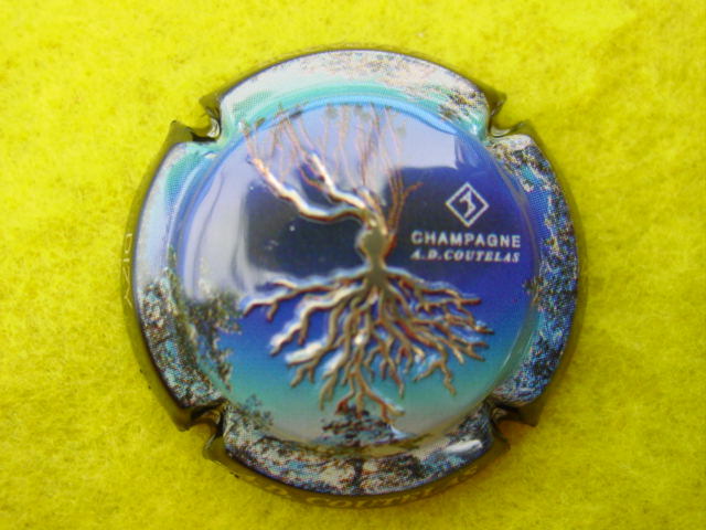 Photo de la capsule
