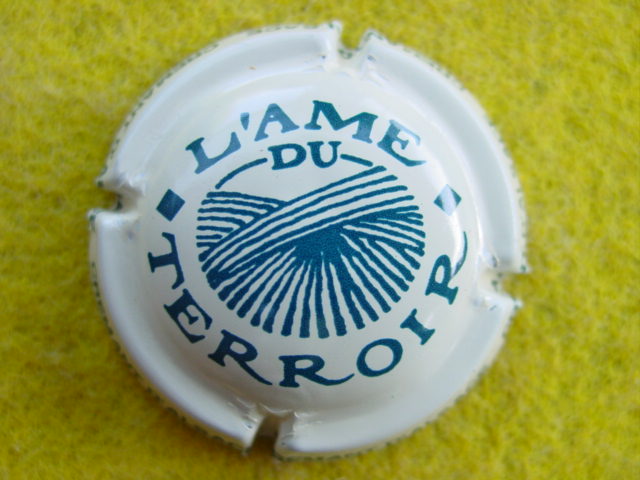 Photo de la capsule