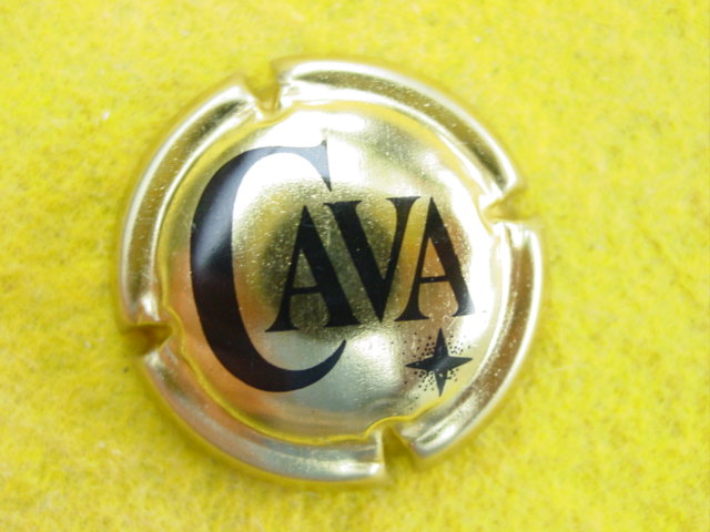 Photo de la capsule