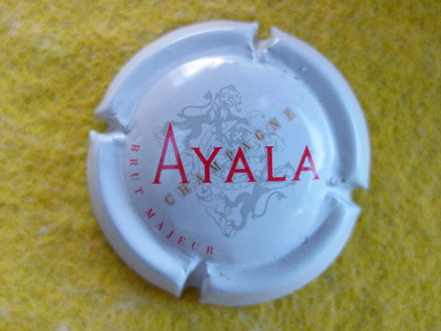 Photo de la capsule
