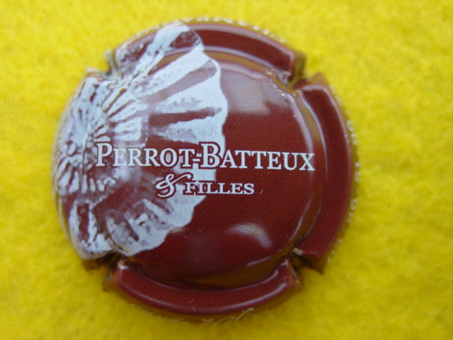 Photo de la capsule