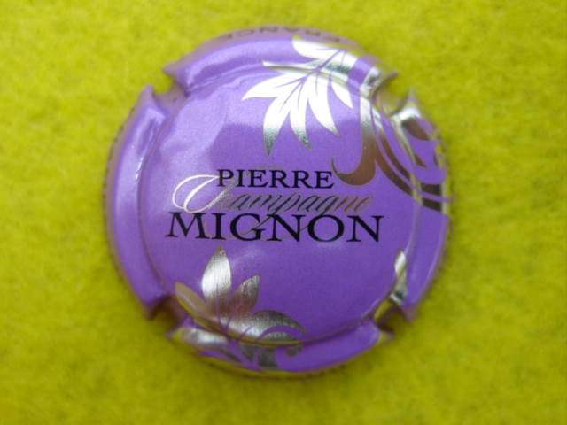 Photo de la capsule