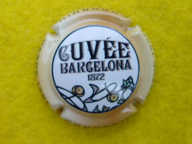 Photo de la capsule