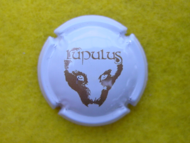 Photo de la capsule