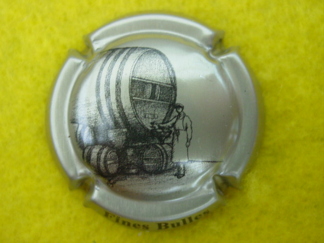 Photo de la capsule