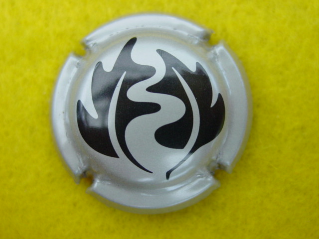 Photo de la capsule