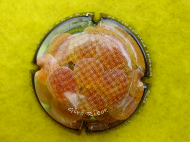 Photo de la capsule