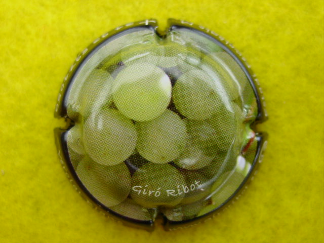 Photo de la capsule
