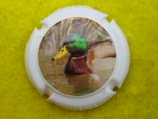 Photo de la capsule