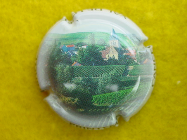 Photo de la capsule