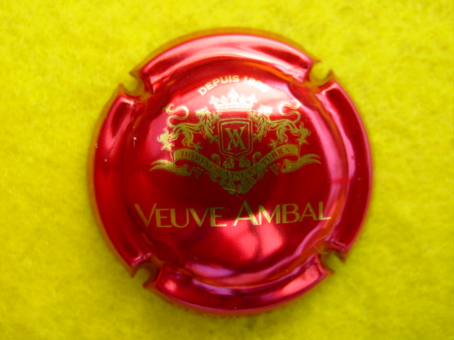 Photo de la capsule