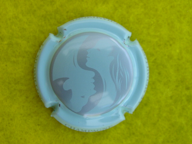 Photo de la capsule