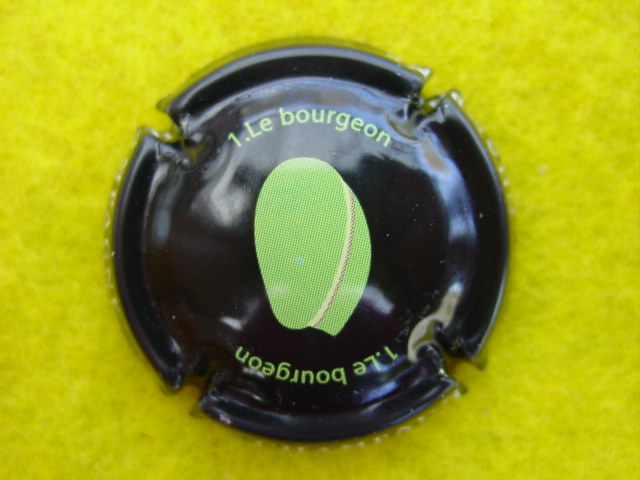Photo de la capsule