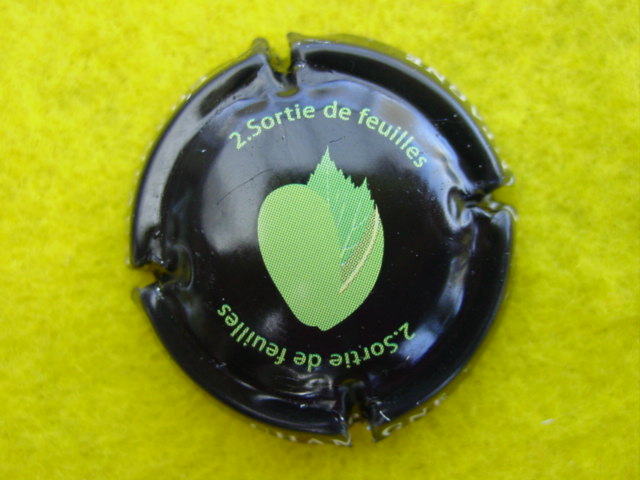 Photo de la capsule