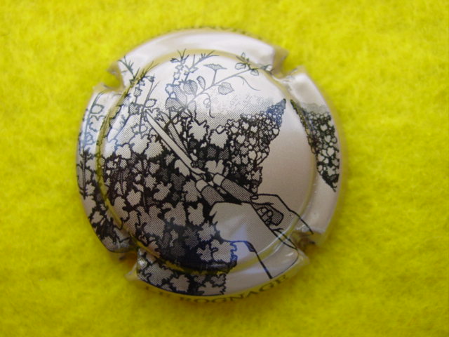 Photo de la capsule