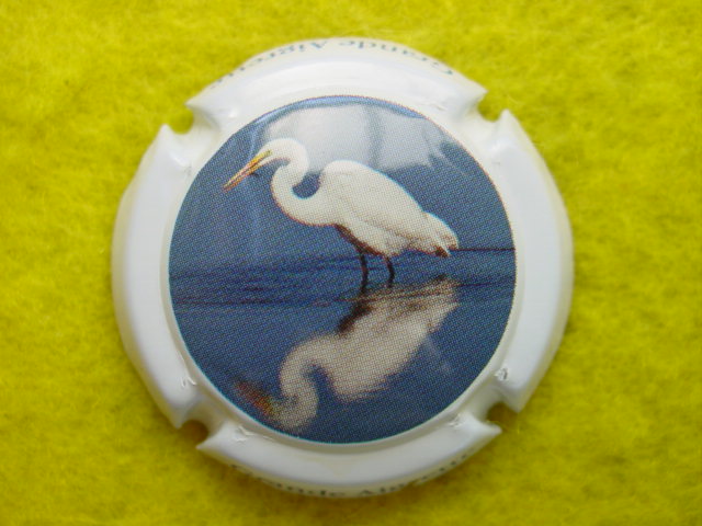 Photo de la capsule