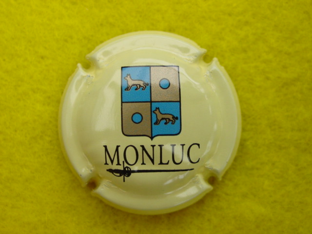 Photo de la capsule