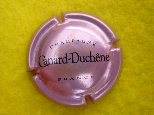 Photo de la capsule