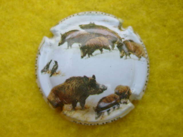 Photo de la capsule