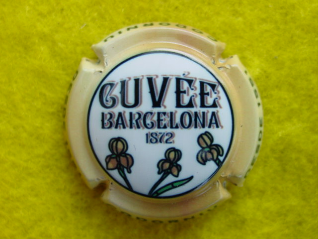 Photo de la capsule