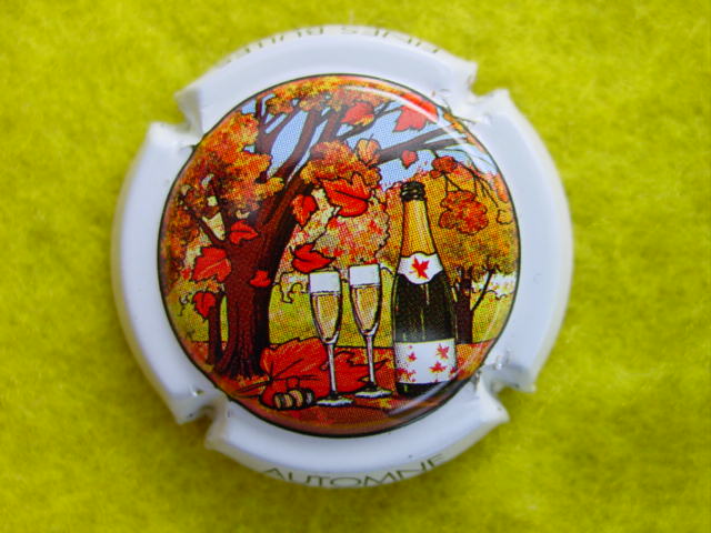 Photo de la capsule