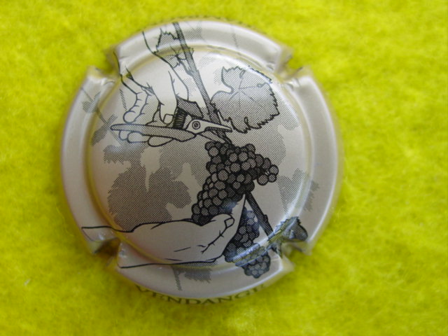 Photo de la capsule