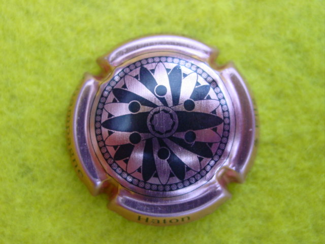 Photo de la capsule