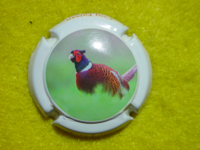 Photo de la capsule