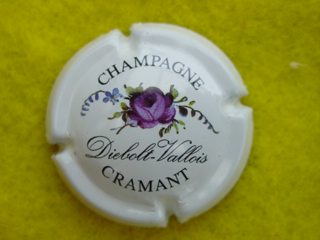 Photo de la capsule
