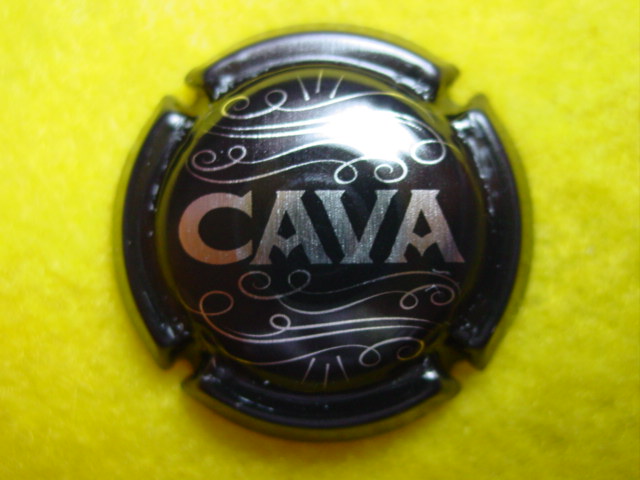 Photo de la capsule