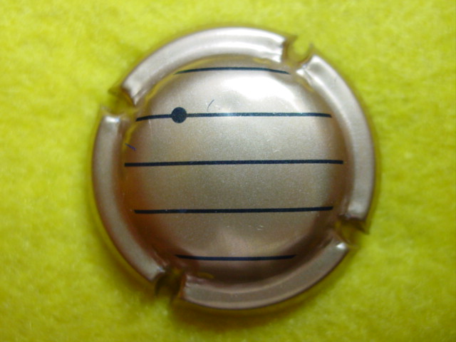 Photo de la capsule