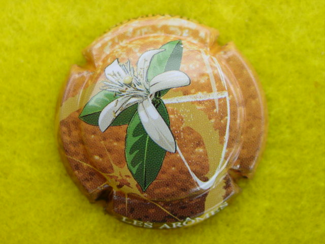 Photo de la capsule