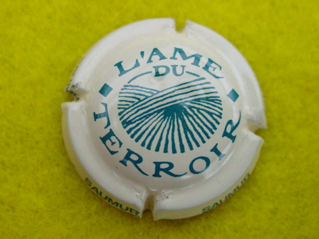 Photo de la capsule