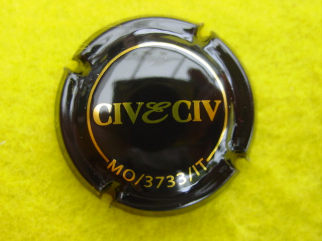 Photo de la capsule