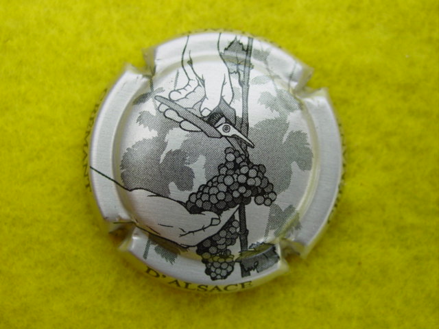 Photo de la capsule