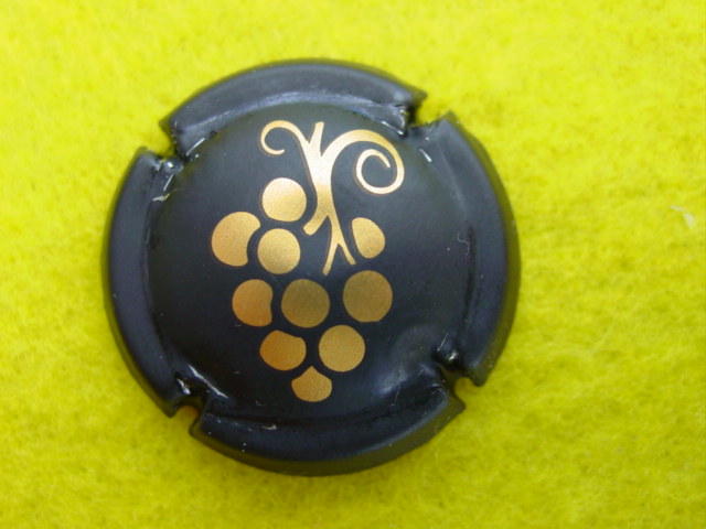 Photo de la capsule