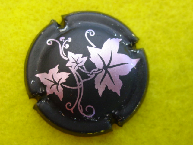 Photo de la capsule