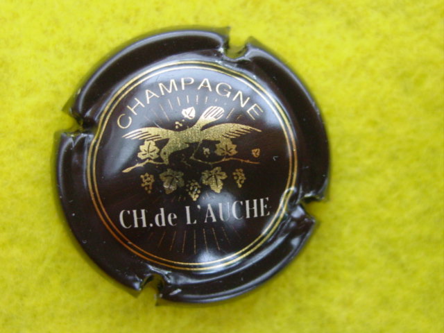 Photo de la capsule