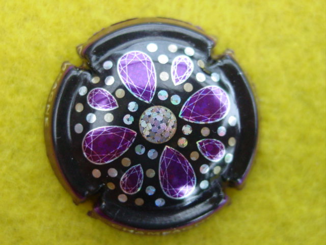 Photo de la capsule