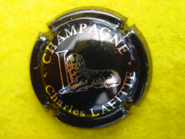 Photo de la capsule