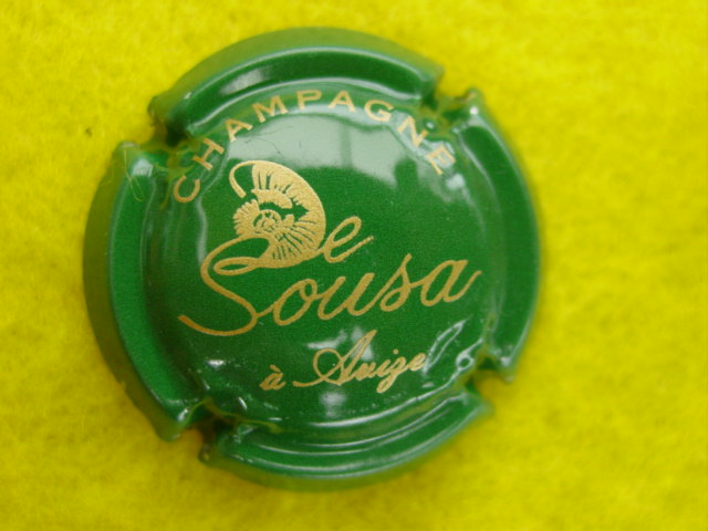Photo de la capsule